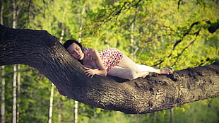 woman lying on large tree branch
